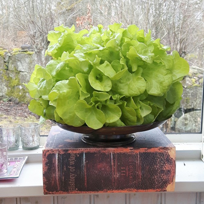 IMG_20180324_150000_292