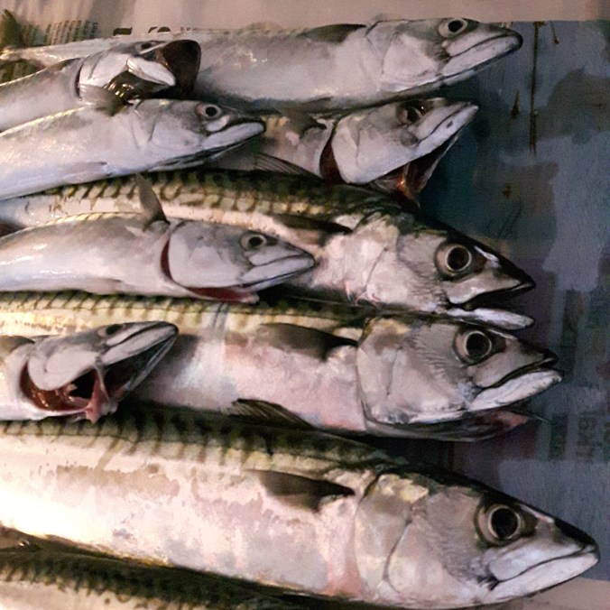 IMG_20180809_203305_897