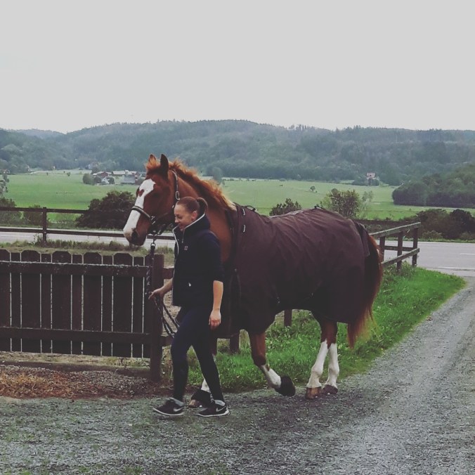 IMG_20180930_102707_185