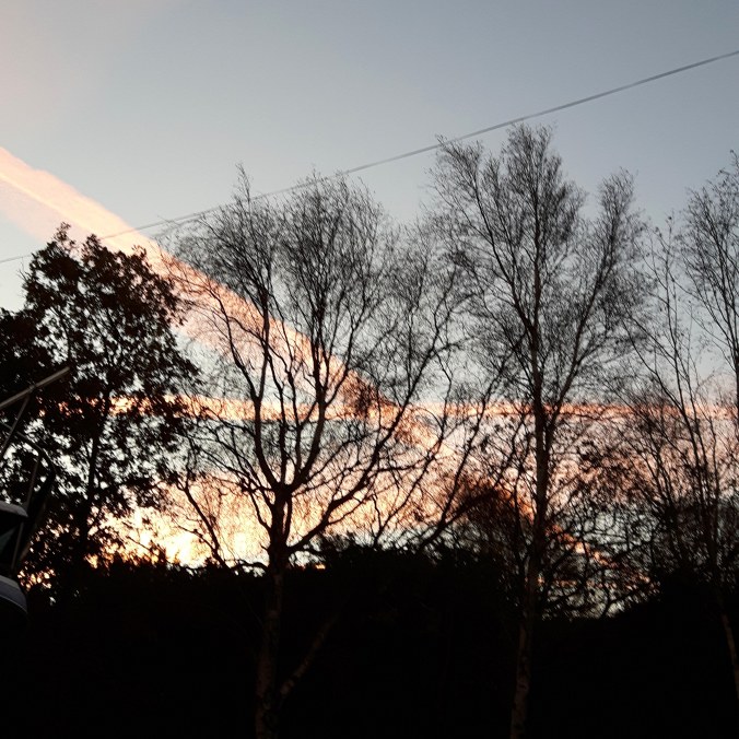 IMG_20181011_081638_284