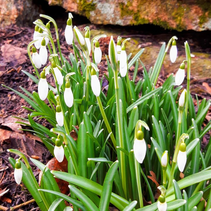 IMG_20190223_142620_875