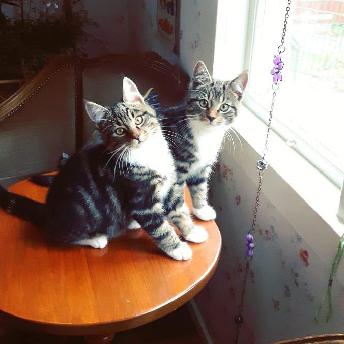 IMG_20191123_121507_878